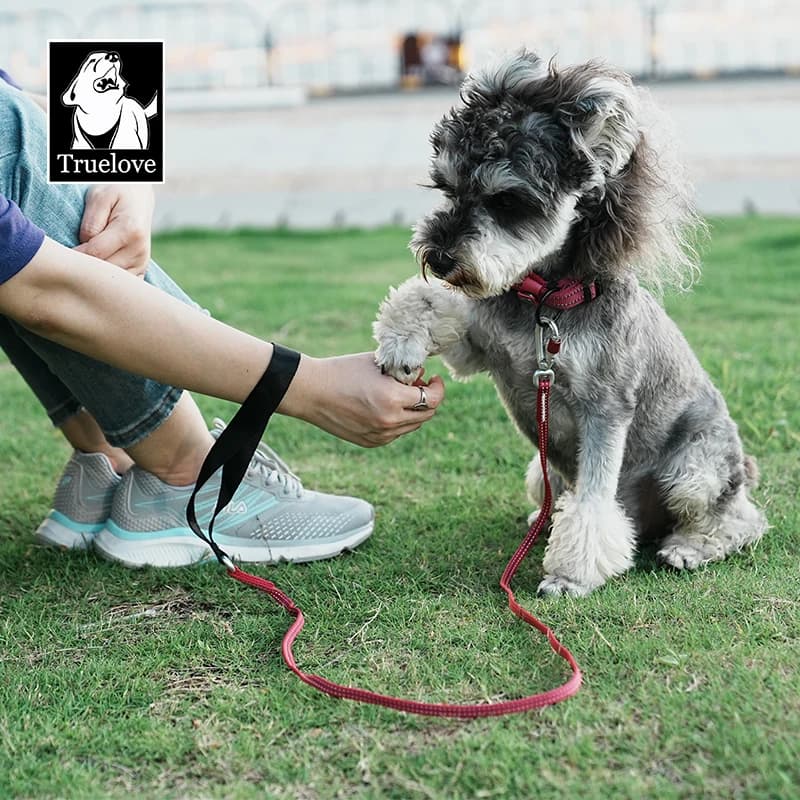 TRUELOVE Guinzaglio per animali colorato e leggero Facile da trasportare TLL2772 Manico morbido Nastro in filato colorato in nylon con riflettente 3M