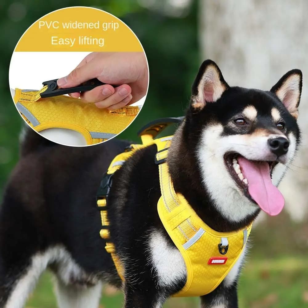 Pettorina per cani antiesplosione da esterno per passeggiate, con tracolla di sicurezza e guinzaglio, accessori per animali domestici, cinghia pettorale per animali.