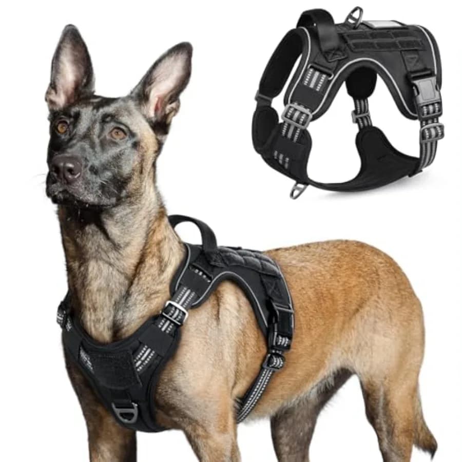 Pettorina Tattica per Cani, Gilet Militare Anti-Trazione con Maniglia e Sistema Molle, Facile Controllo per Addestramento e Passeggio, Regolabile