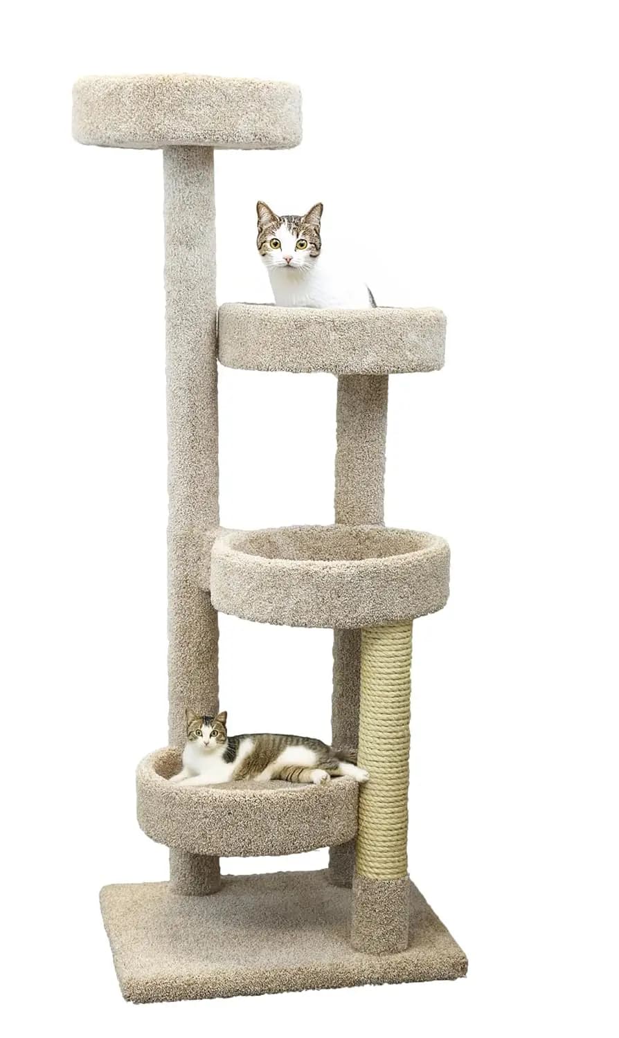 Albero per Gatti, Beige, Personalizzato