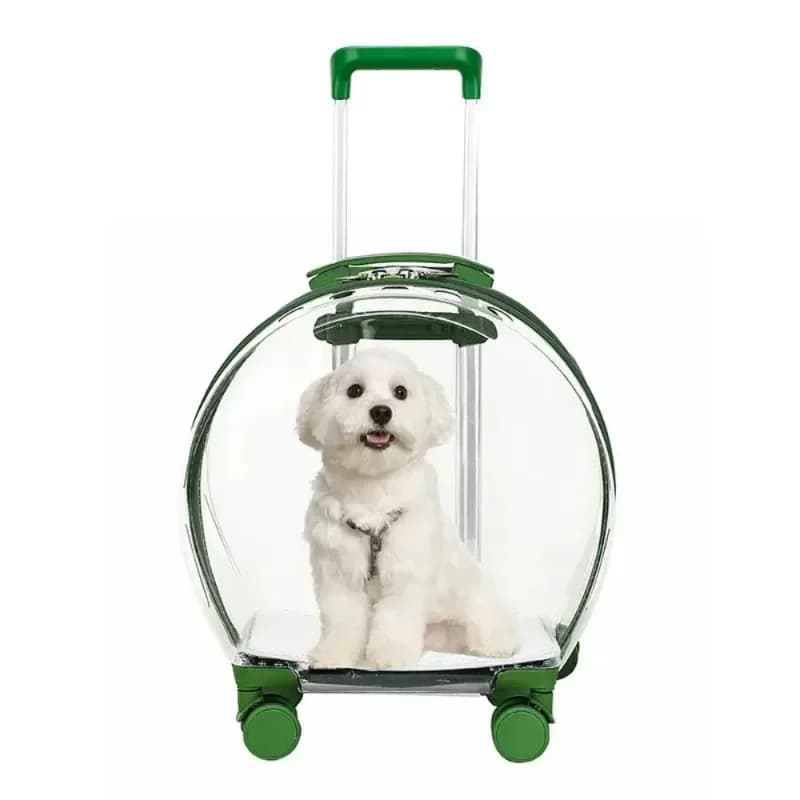 Carrello per spostare cuccioli Trasportini per gatti Zaino trasparente per animali domestici Trasporti e merci per animali da viaggio Forniture per animali domestici con ruote