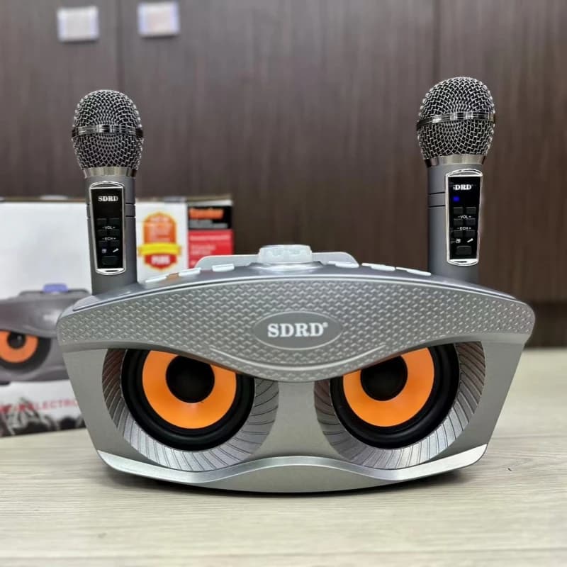 SDRD Sd306plus 30W Home Theater Sound Sistema PA Altoparlanti Bluetooth portatili con due microfoni wireless Set TV Lettore Karaoke