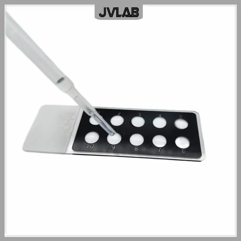 Immunofluorescenza In Situ Hybridization Microscope Slides Diagnostic Slide antigene poroso Slide 10 Well 1 ''x 3'' confezione da 50