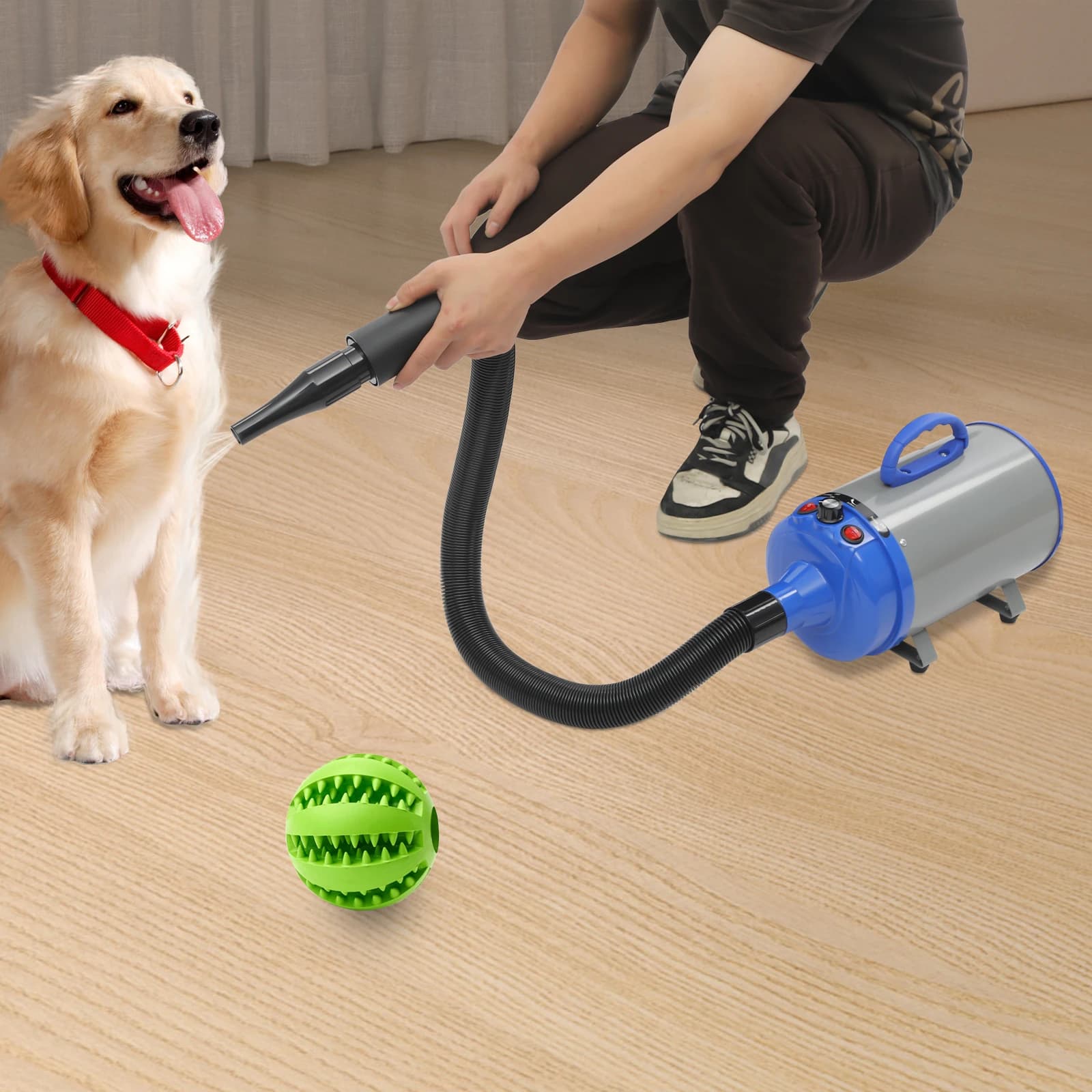 Electric Hair Dryer for Domestic Animals, Dryer for Dogs and Cats with 4 Ugelli