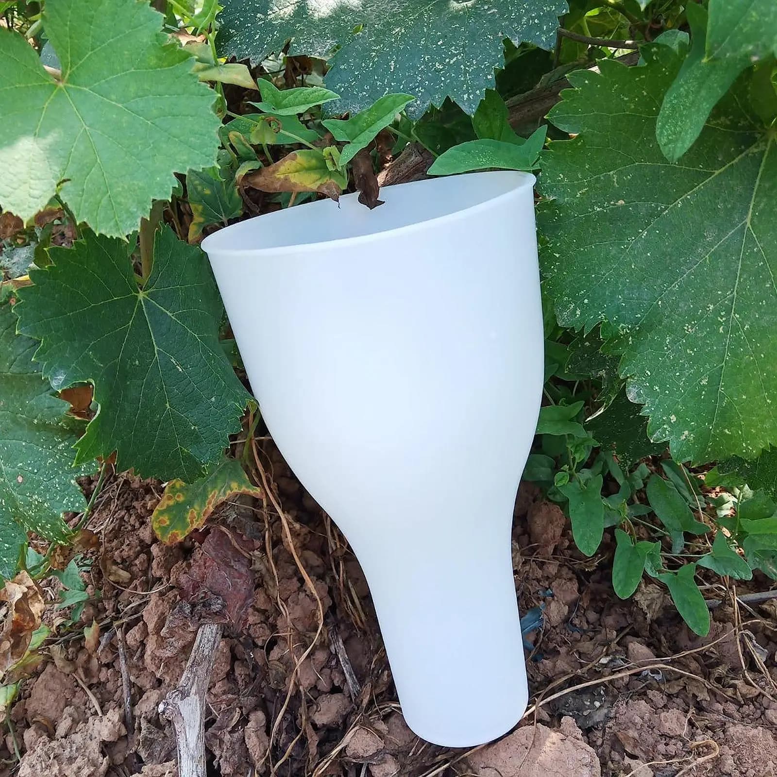 Strumento da giardinaggio per tazza per immersione dell'uva per orto Contenitore per ammollo di frutta portatile facile da usare Mantieni le uva dai danni