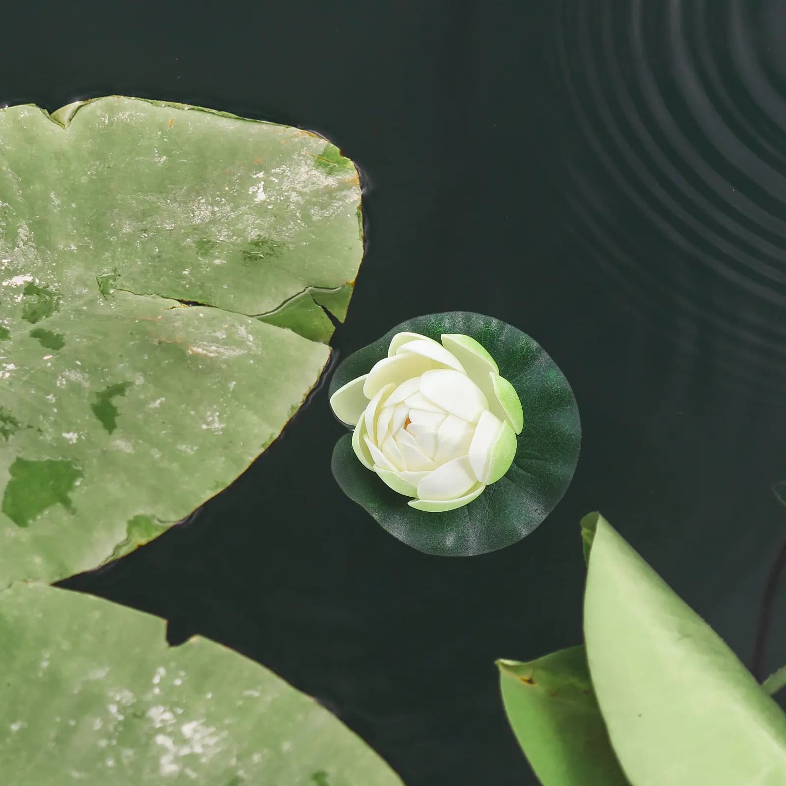 5Pcs Artificial Floating Water Lily Simulation Pond Plants Realistic Floating Flowers Fish Tank Aquarium Decor Outdoor Pond