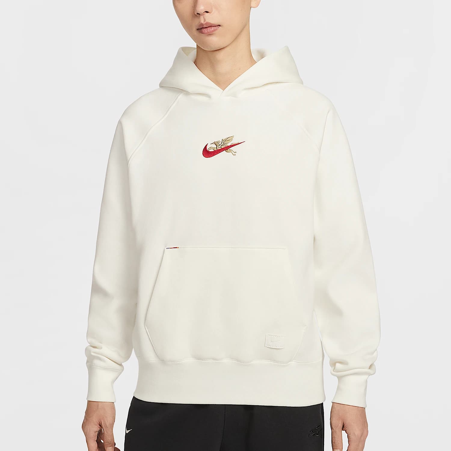 Felpa sportiva ricamata con cappuccio da uomo Nike Genuine Sportswear IQ3707-133