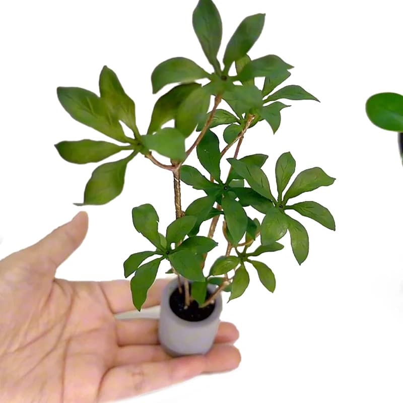 1:6 home of miniature dolls pot plant vase pattern for green leaves Bonsai decorations for home garden toy accessories for doll house