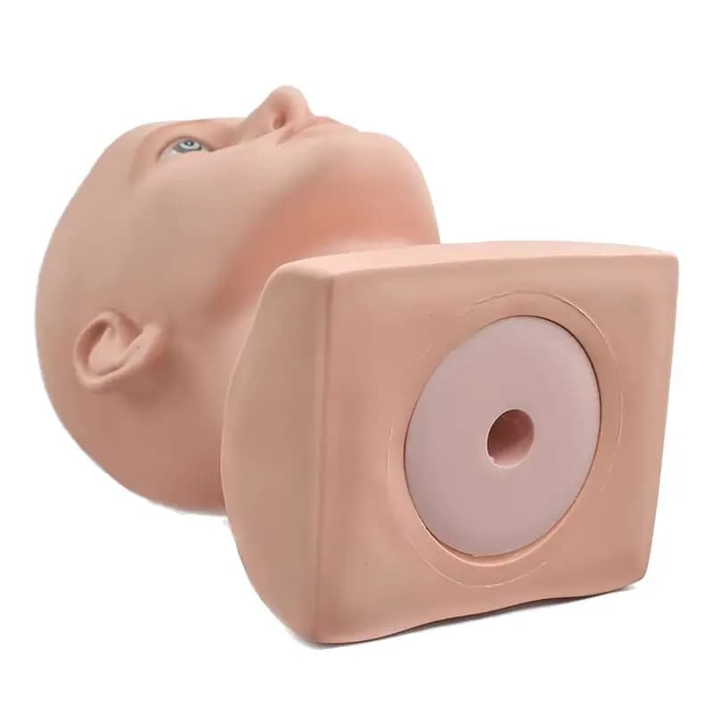 AA83 Testa di manichino maschile Testa di manichino professionale per display Parrucche Cappelli Espositore per cuffie (colore della pelle)