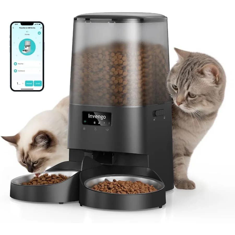 Mangiatoia automatica per gatti per 2 gatti con ciotole in acciaio inossidabile e porta antigiamma brevettata Dispenser per alimenti per animali domestici da 5 litri con coperchio a doppia chiusura A