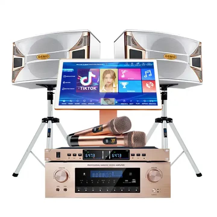Sistema Audio Completo per Karaoke con Schermo Touch da 19.5 Pollici, Macchina Karaoke Professionale con Amplificatore