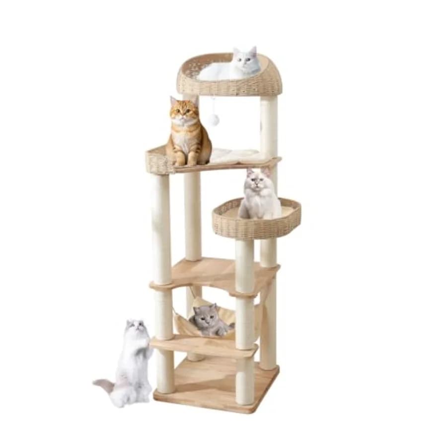 Albero per Gatti in Legno da 62 Pollici per Gatti da Interno con Tiragraffi in Legno Massello, Cesto Intrecciato a Mano e Amaca dal Design Moderno, Facile da Montare