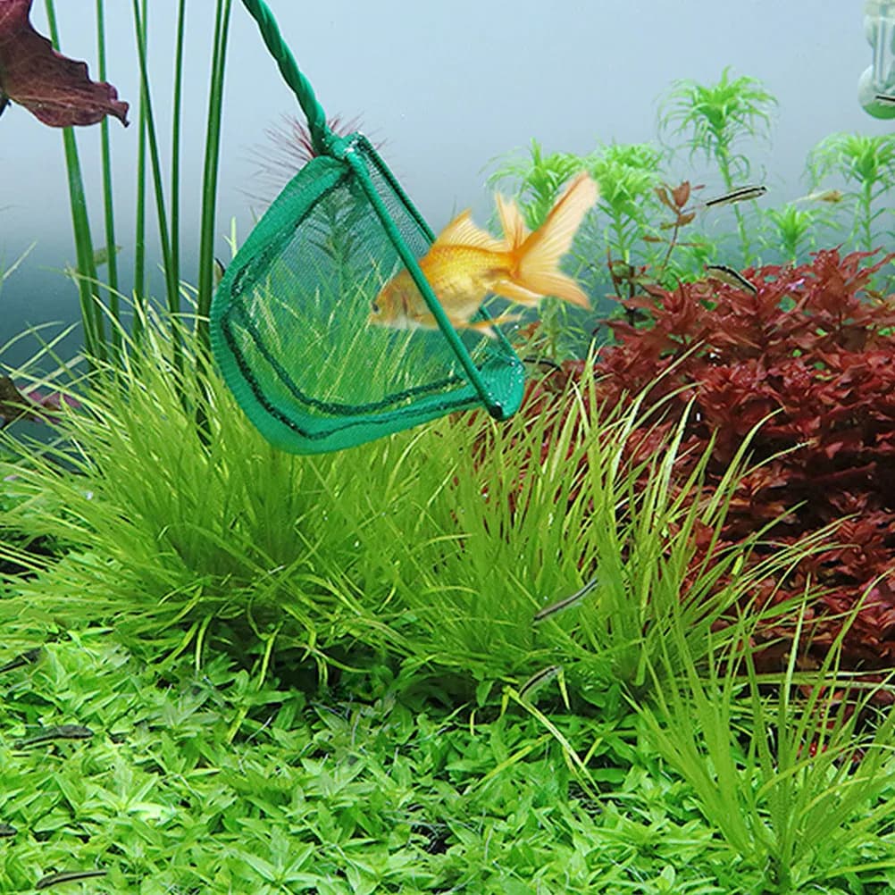 2 Pezzi Rete da Pesca Versatile in Rete Morbida per Acquari, Vasche per Pesci, Cattura Sicura di Gamberetti, Pulizia di Piscine e Laghi all'Aperto, Rete di Recupero Manuale