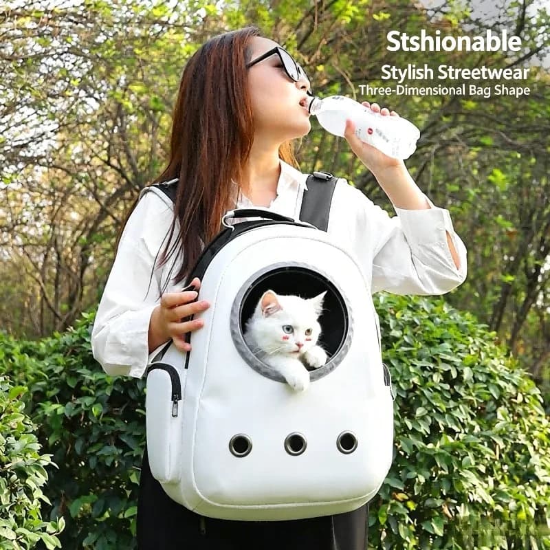 Trasportino portatile per animali domestici, zaino trasparente a capsula spaziale, zaino traspirante e portatile, gabbia per il trasporto di cuccioli