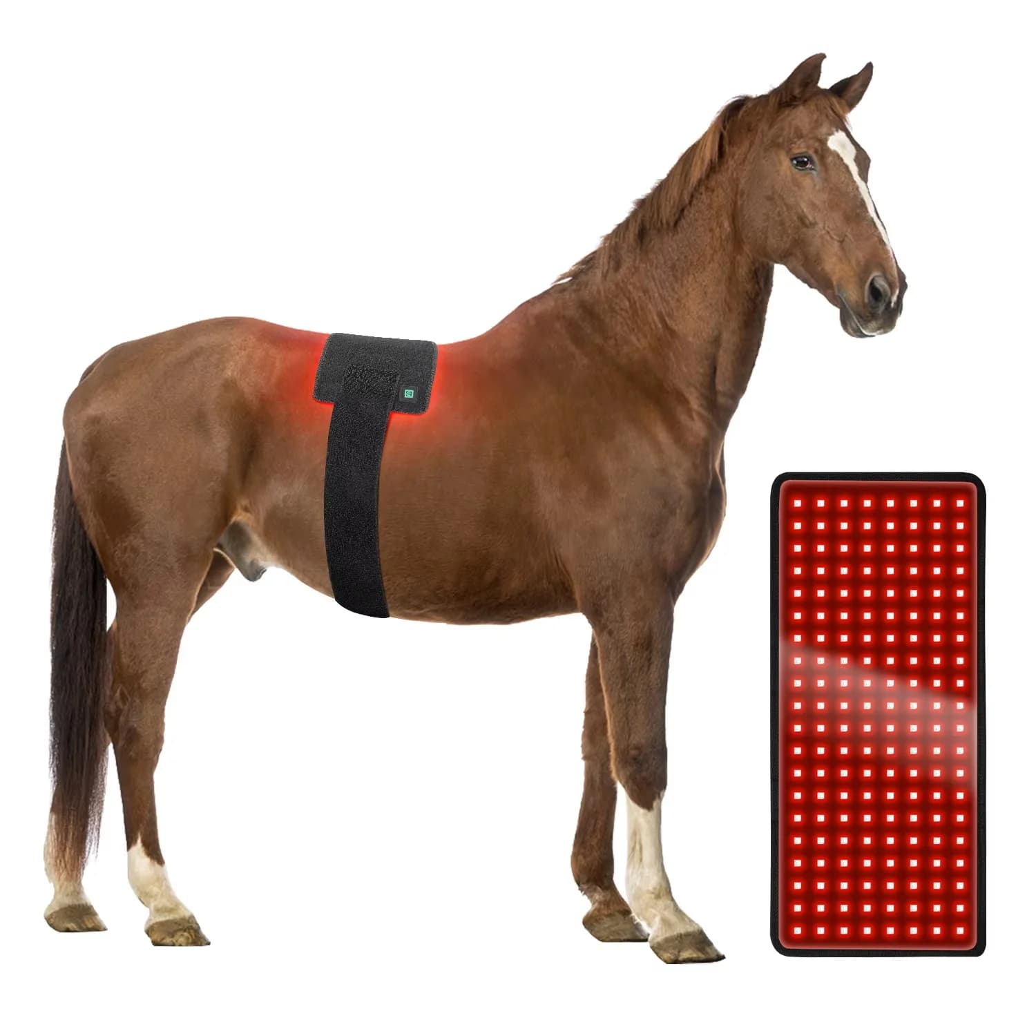 660nm 850nm LED Red Light Heating Therapy Blanket Horse Back Pain Relief Mat