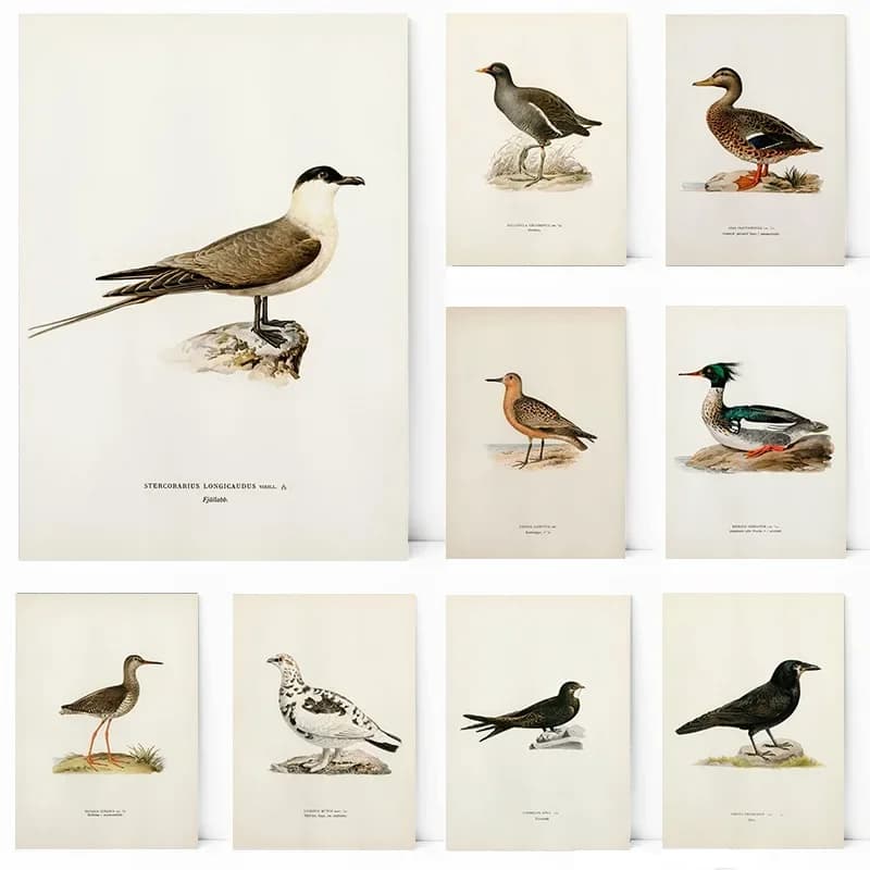 Elegant Game Bird Wall Art Canvas LongTailed Jaeger Swift Wigeon Ptarmigan Poster Living Room Bedroom Decor Home Decor Pr