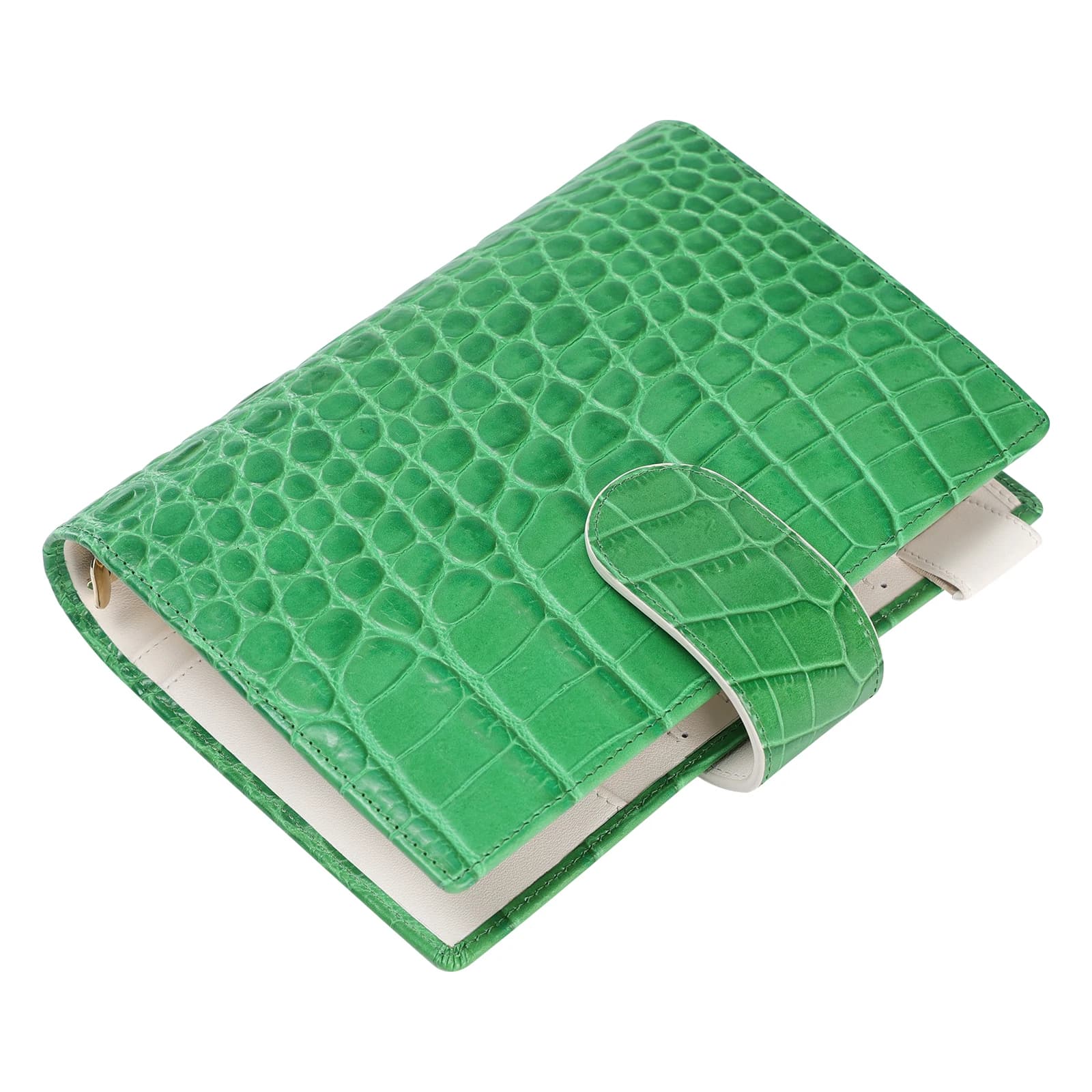 Smartfee Pianificatore di budget personale Raccoglitori per pialla A6 Modello coccodrillo e agenda per notebook organizer in vera pelle Nappa morbida
