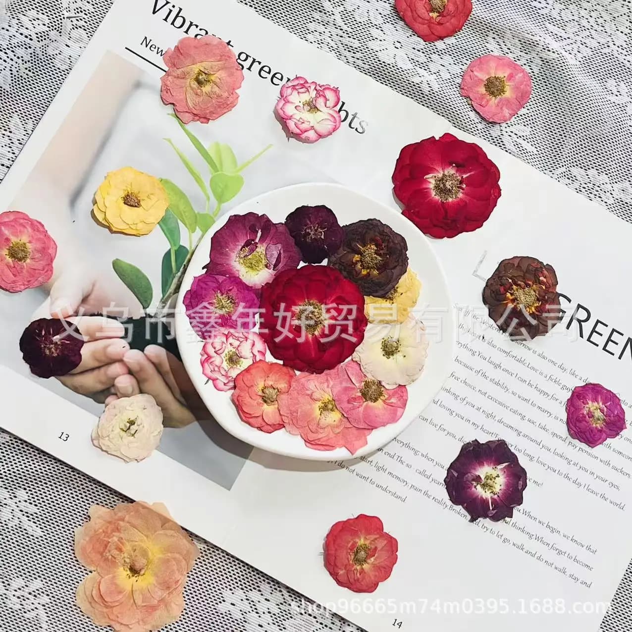 250pcs Pressed Dried Rose Flower Herbarium For Epoxy Resin Jewelry Making Bookmark Phone Case Face Makeup Nail Art DIY