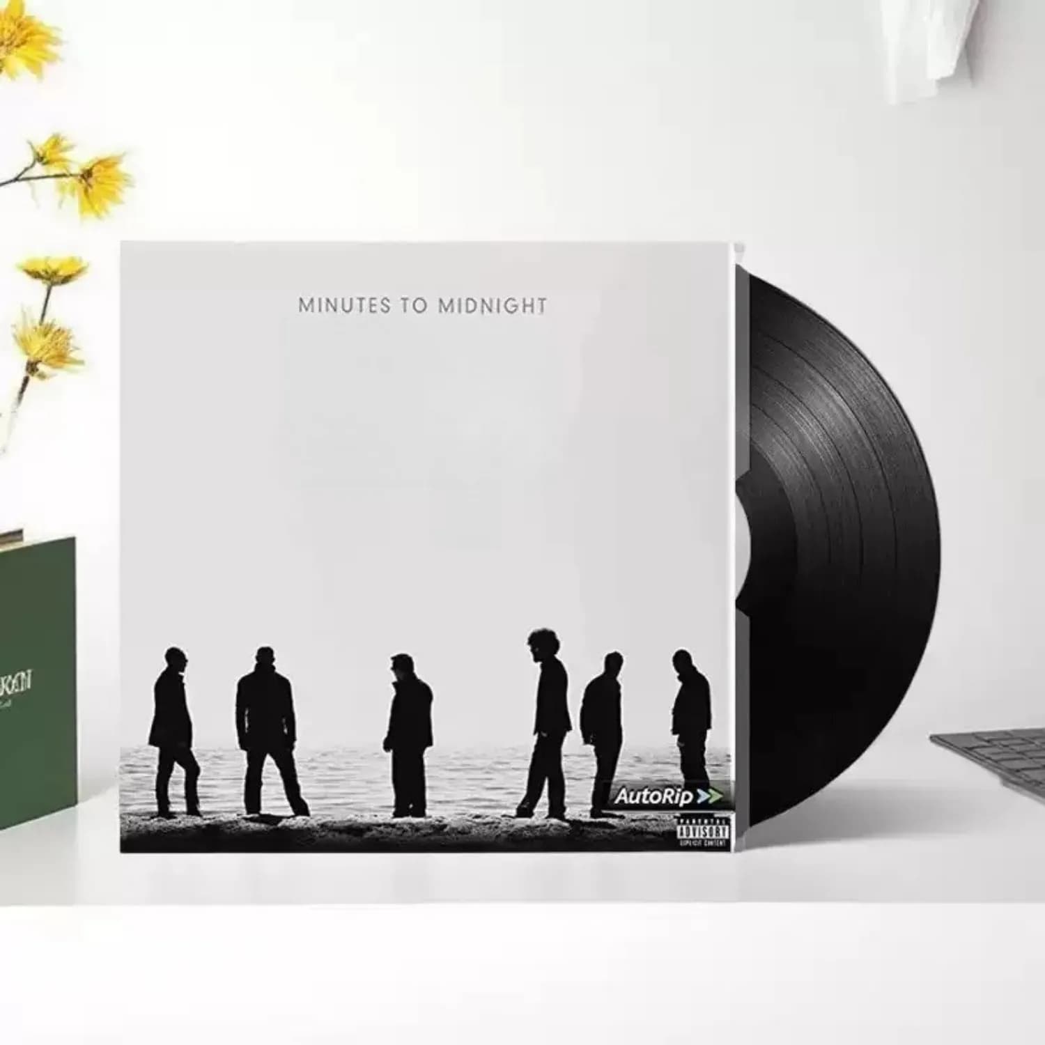 American Nu Metal Alternative Rock Vinyl LP Background Seaside Band Silhouette Minimal Cover Collectible Rap-Rock Vinyl Record