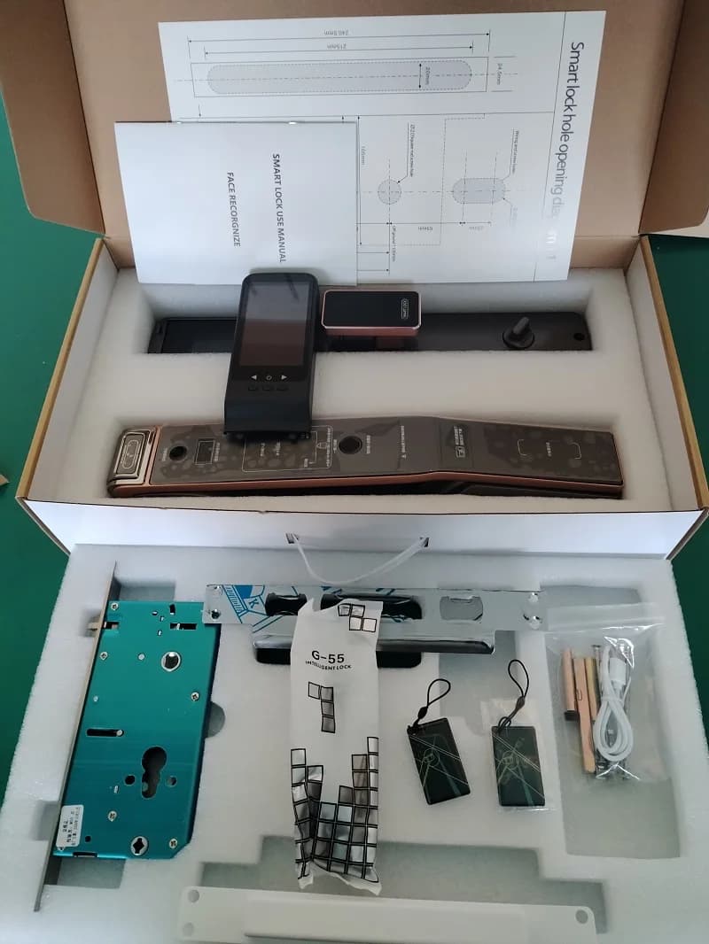 Tuya Smart Door Lock Wifi Face ID Riconoscimento Catenaccio per impronte digitali Ufficio intelligente Chiusura elettronica digitale Serratura da infilare