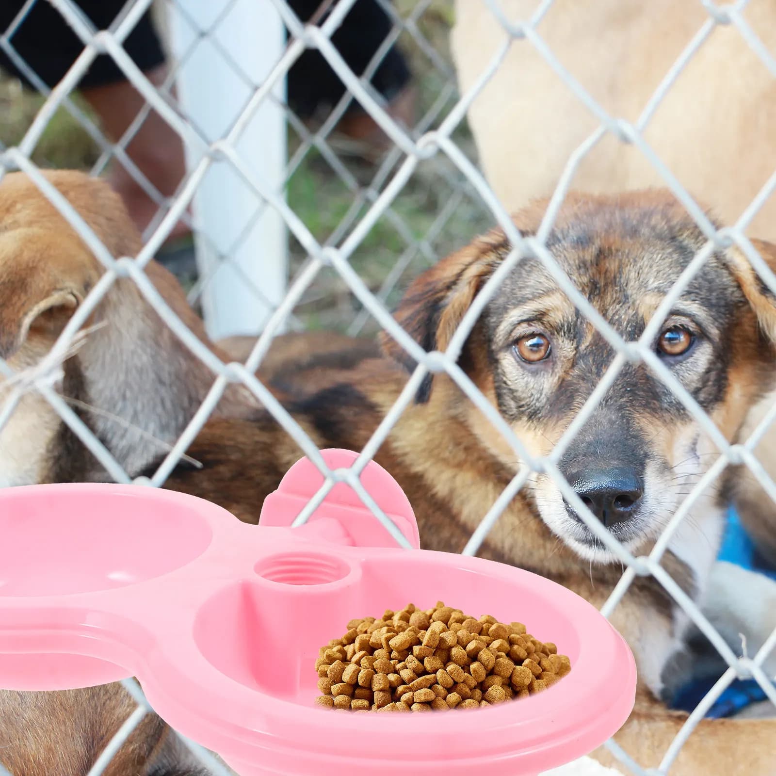 Ciotola Doppia Sospesa Riutilizzabile in Plastica per Cani, Mangiatoia Salvaspazio per Gabbia, Ciotola per Cibo e Acqua per Cuccia, Ciotole per Acqua per Cani