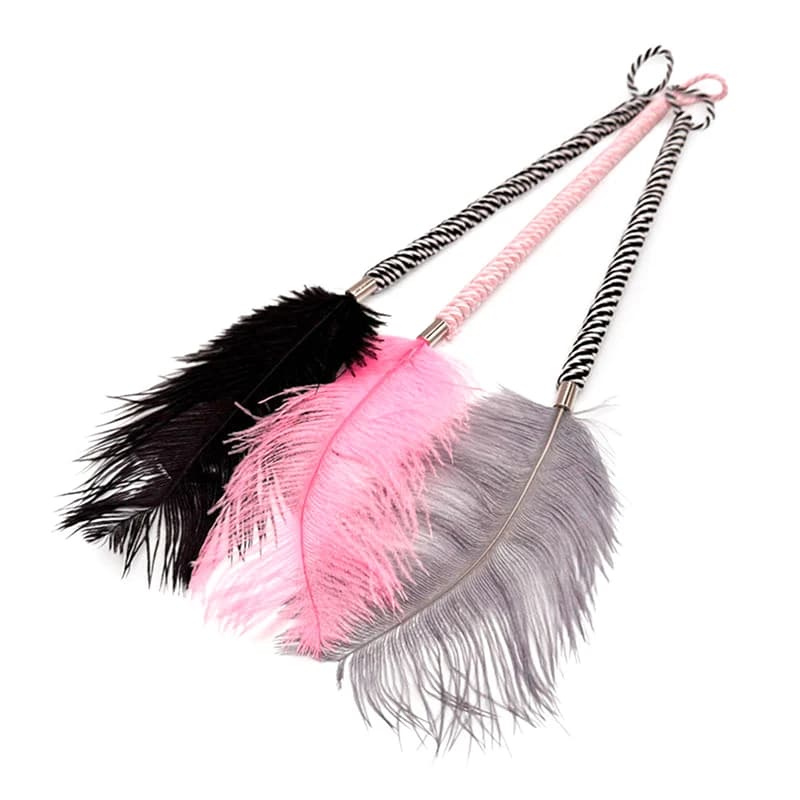 Frusta Erotica con Piume per Stimolazione Clitoridea e del Capezzolo, Accessorio Erotico per Donne