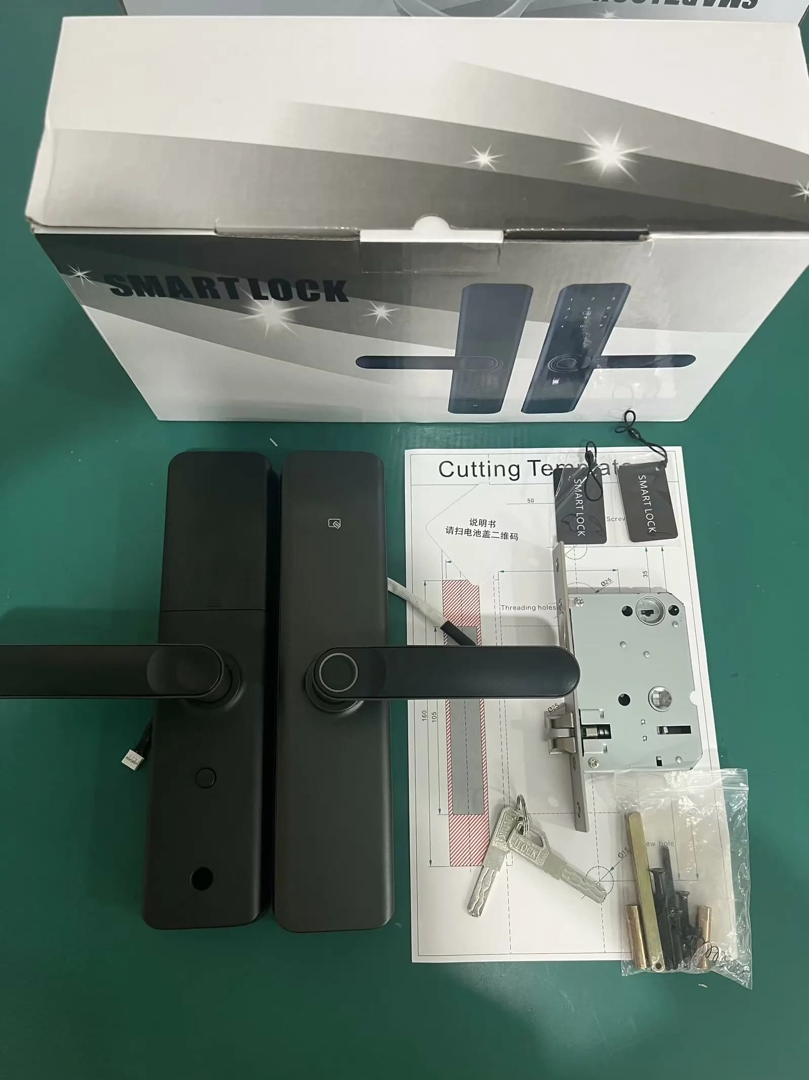 Wifi Tuya Smart Lock Home Porta in legno Livello Passcode Blocco impronte digitali TTLock Bluetooth