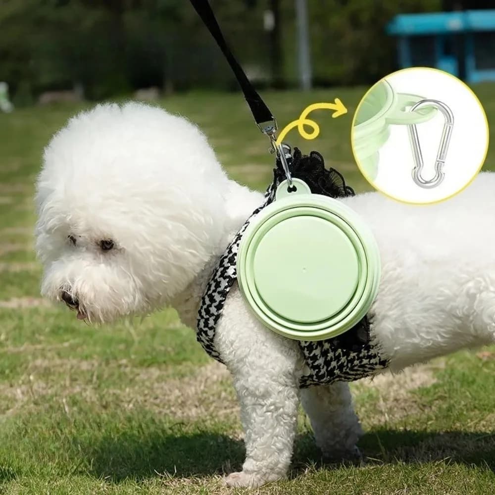 Collapsible Silicone Pet Bowl Macaron Color Portable Outdoor Food Water Bowl For Dogs Cats Travel Pet Supplies