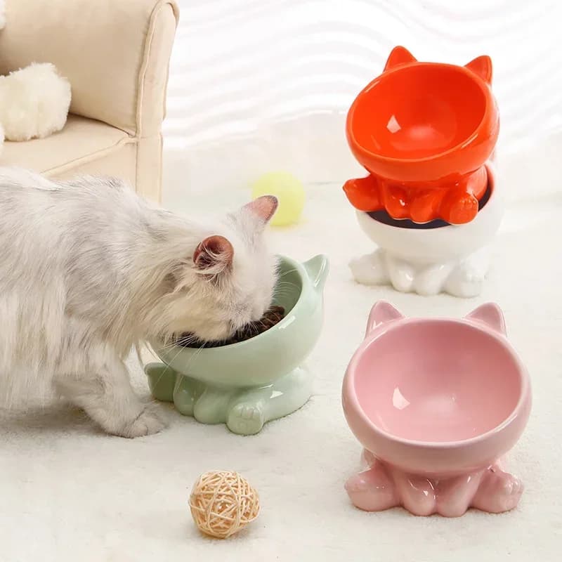 Ciotola per alimenti per animali domestici in ceramica Inclinazione Ciotola protettiva per il collo con fondo alto Ciotola per acqua antisoffocamento per cani e gatti Antidumping Forniture per l'alimentazione del cane