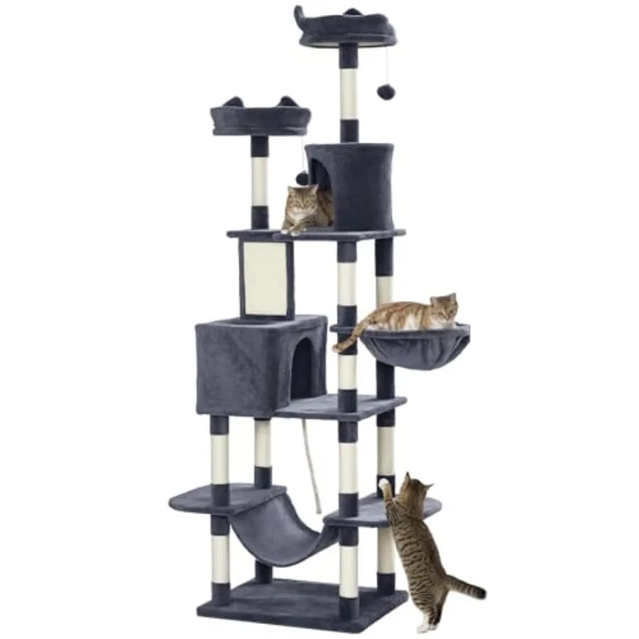 Cat Tree 81: Torre per Gatti di Grandi Dimensioni da Interno con Tiragraffi, Poste per Tirare, Cucce e Amache per Gatti