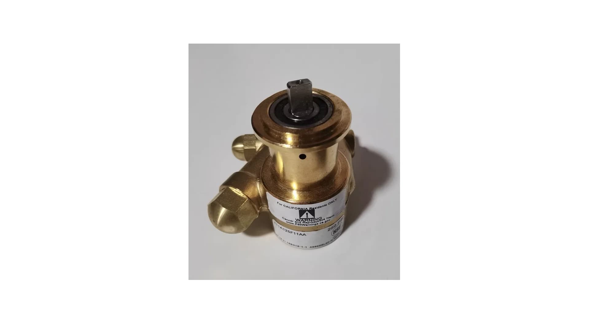 Pompa in ottone Procon 111A125F11AA250