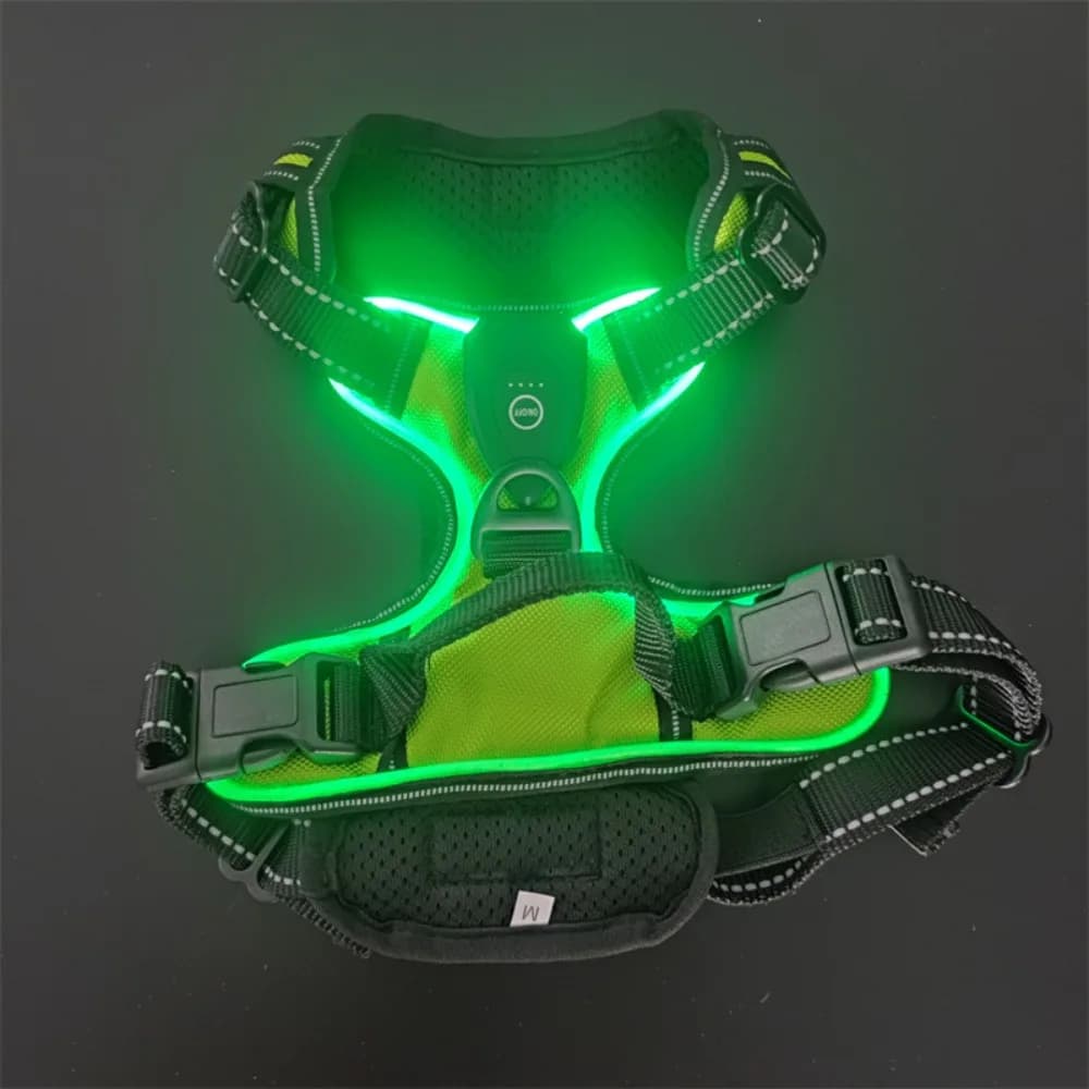 Pettorina per cani illuminata a LED, ricaricabile, lampeggiante, luminosa, per animali domestici, morbida e regolabile, per passeggiate notturne