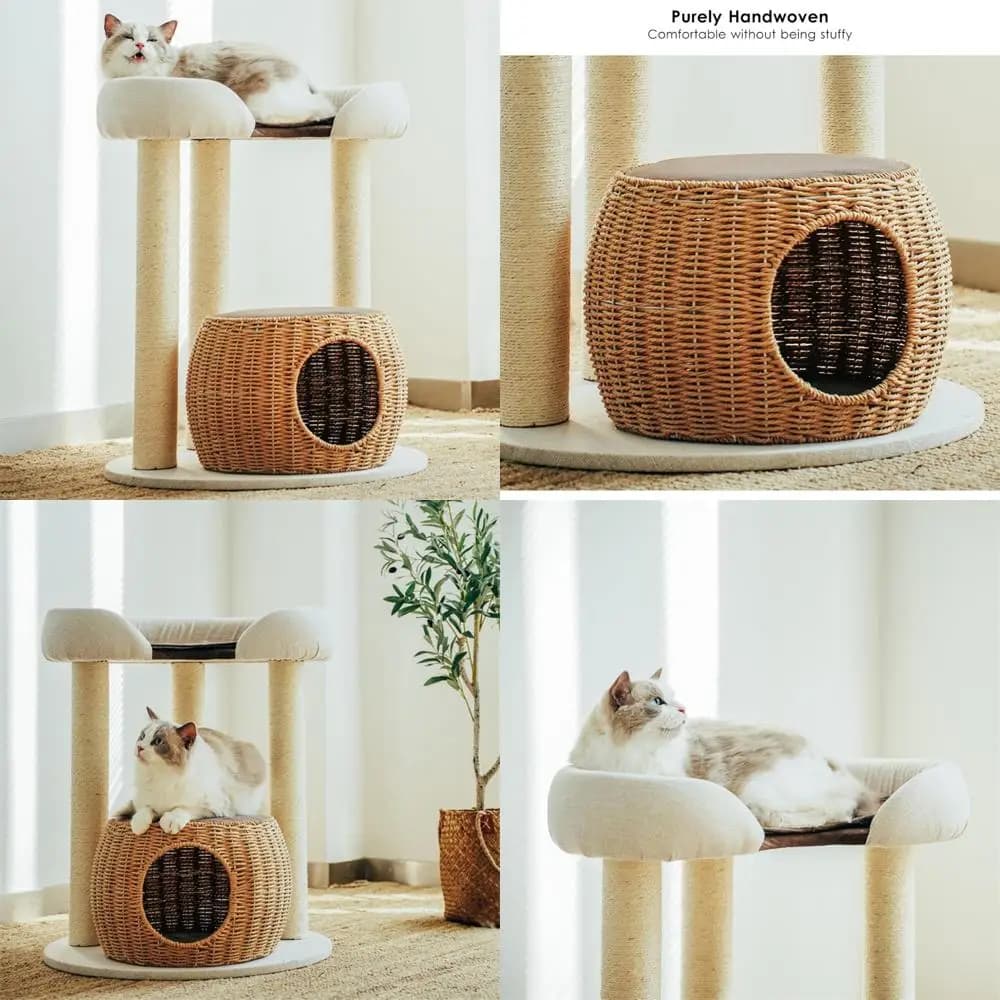 Alberi per gatti da interno con tiragraffi e nidi: torri e condotti moderni per gatti per habitat di gattini da interni