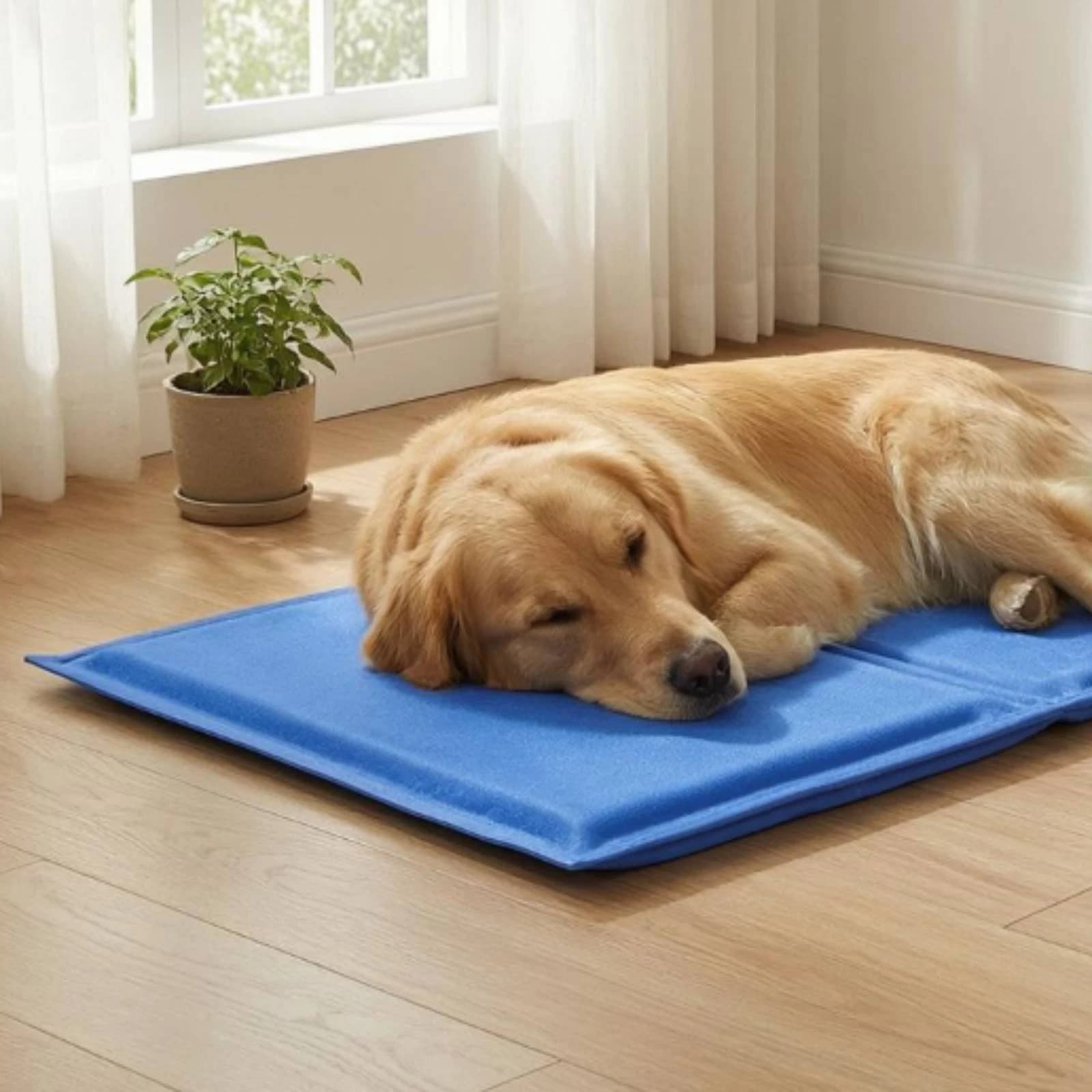 Pet Cooling Mat Padded Dog Cooling Mat Rest Pad Stitched Edge Animal Bedding Single-Color