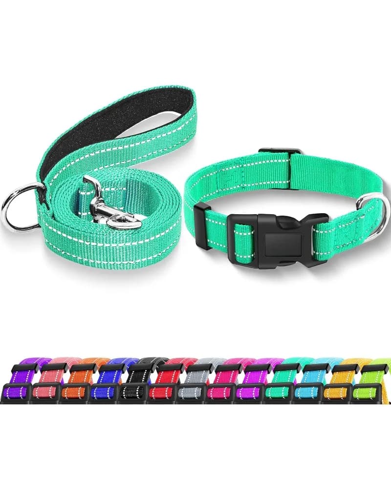 Set Collare e Guinzaglio Riflettenti per Cani – Regolabile, in Nylon Morbido con Fibbia di Sicurezza (XS, Larghezza 5/8'', Turchese)