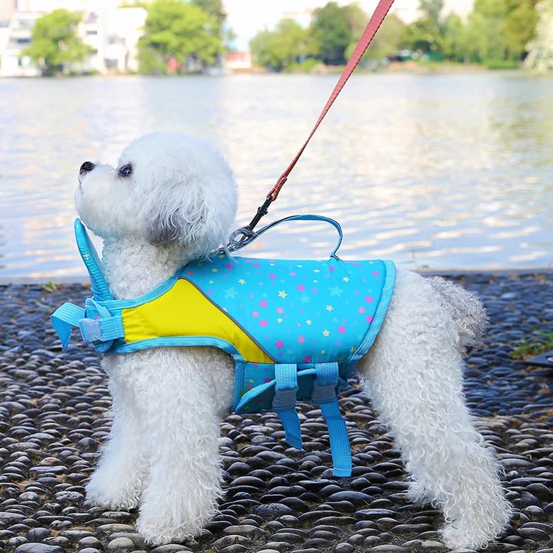 Giubbotto di salvataggio per cani con trazione Giubbotto di salvataggio per animali domestici per cani di taglia piccola, media e grande Nuoto Abbigliamento estivo per cani Gatti che giocano con acqua