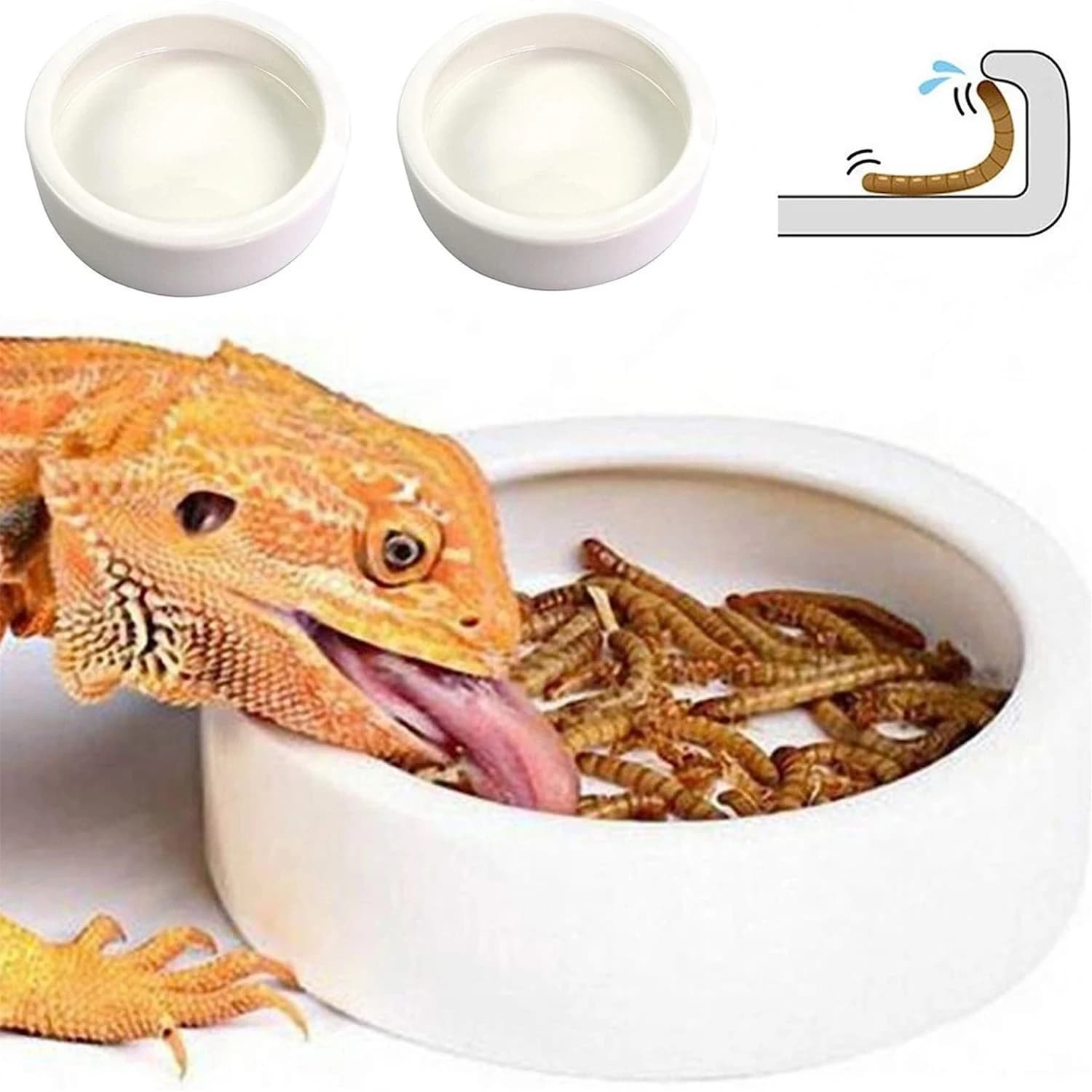 Ciotola per cibo per rettili Ciotola per alimentazione e irrigazione Ciotola per alimentazione e irrigazione in ceramica anti-fuga Alimentatore per super vermi anti-fuga