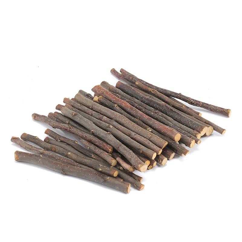 100g Denti Rettifica Pompa Bastone Mordere Albero Piccoli Animali Giocattoli per Criceto Cavia Coniglio Scoiattolo Riccio