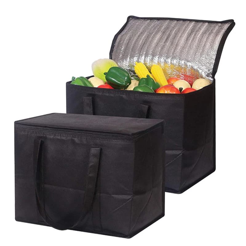 Borsa termica da Picnic borsa termica pieghevole pieghevole borsa termica da 35 litri borsa termica per il pranzo scatola fresca per Picnic all'aperto campeggio