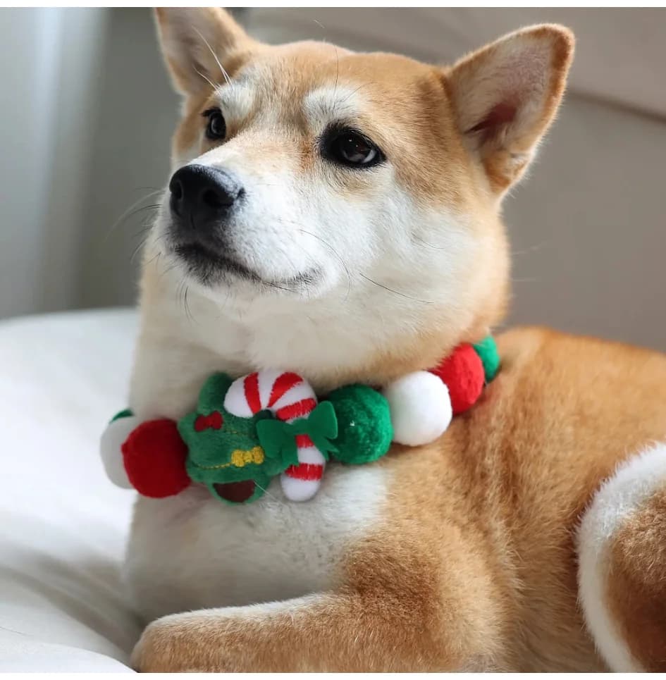 Collare natalizio per cani e gatti Cravatte per animali fatti a mano Sciarpa Bandana Regalo per animali domestici per costumi per animali Accessorio perfetto per le vacanze Colori vivaci