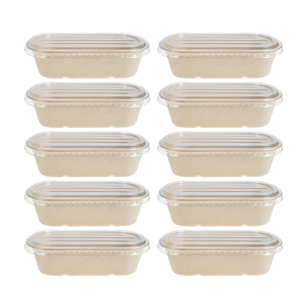 10 Disposable Containers for Foods with Lid, Single Loading Boxes for Takeaway Meals for Restaurants