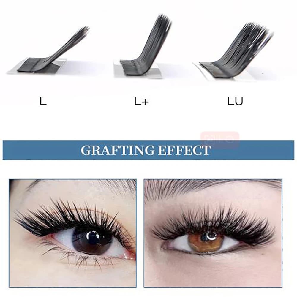 YOUNG LASH L L + LU (M) Curl YY Estensioni ciglia Facile da fiorire 8-15mm Ciglia miste a forma di YY Trucco leggero morbido all'ingrosso
