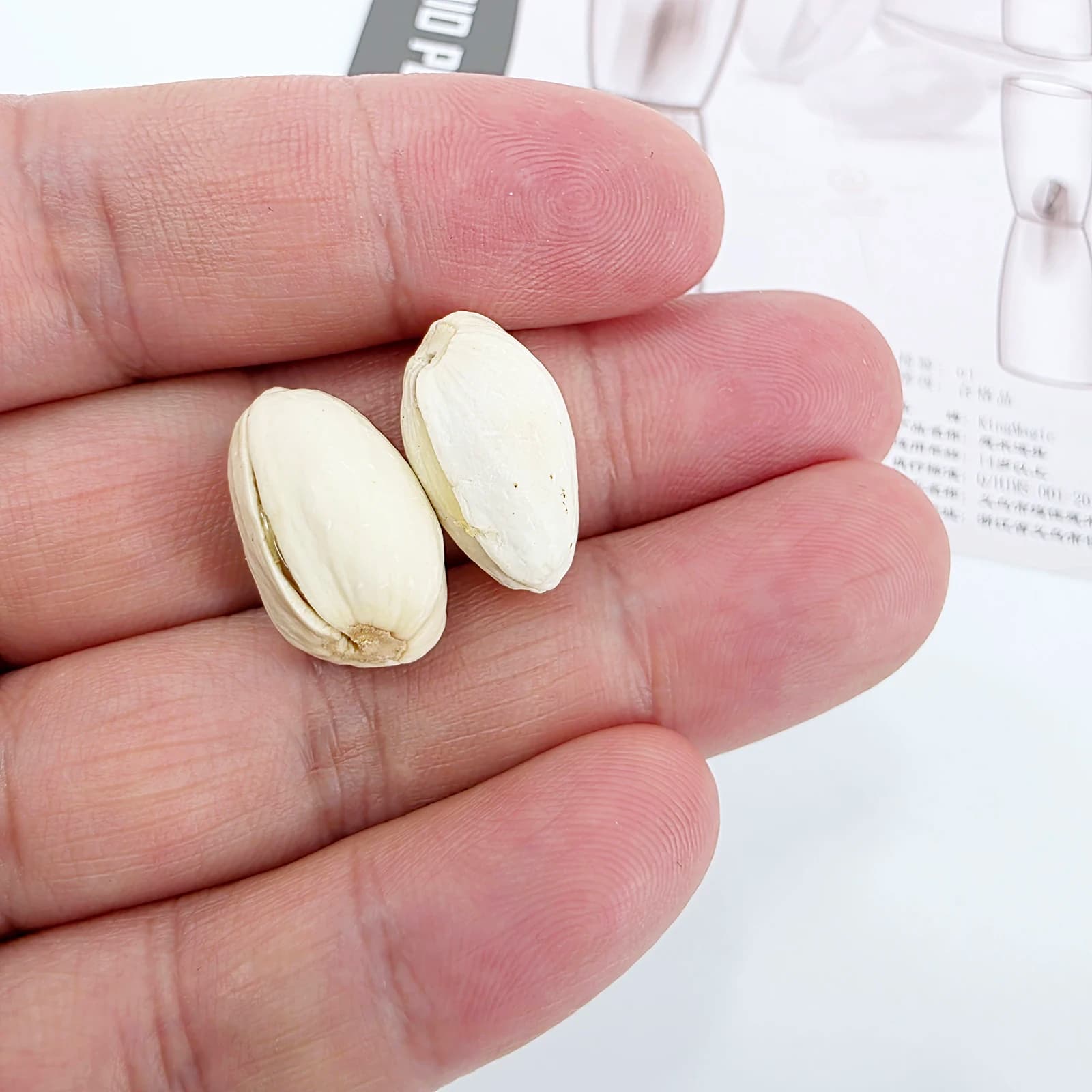 Trucco magico con tazza magnetica sul pistacchio - Miracolo visivo con doppia penetrazione a parete con anello magnetico per palcoscenici da vicino