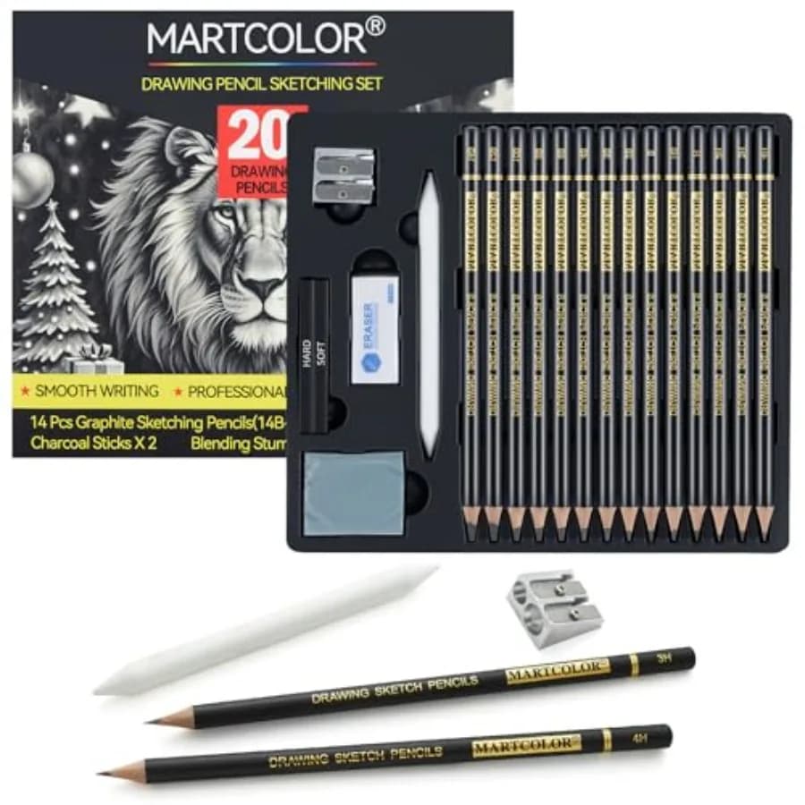 Drawing Sketching Pencil Set, 20 Pieces, Graphite Pencils 14B-4H,Charcoal Sticks, Stump, Eraser, Sharpeners, Ideal for Drawing