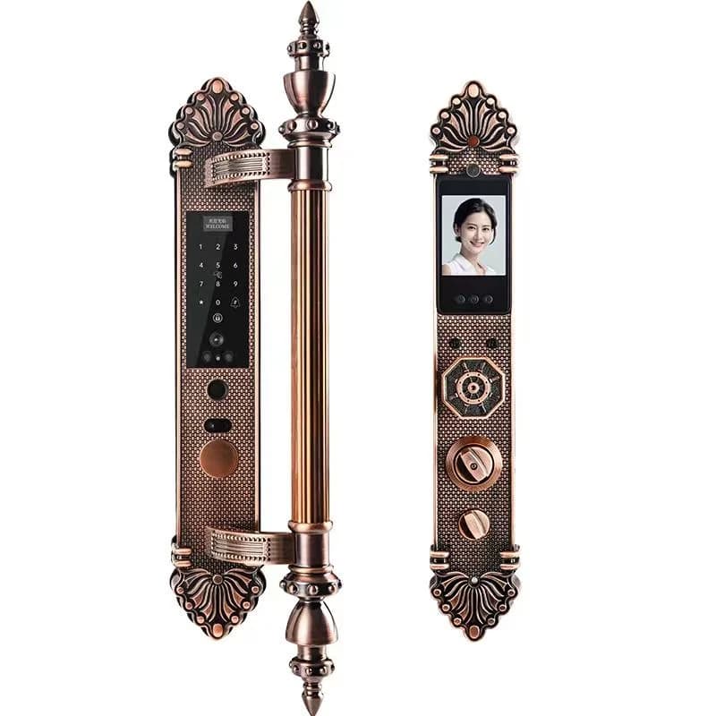 Waterproof Wireless 3D Face & Fingerprint Recognition Smart Door Lock Zinc Alloy IC Card Wood Door App Network Brass Door Key