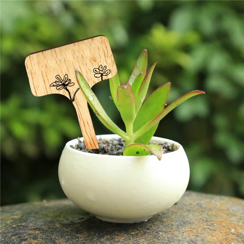 50 Pieces Labels of T-wood for Plants, Eco-labels for Garden, Markers for Bonsai, Seeds, Grasses in Vase, Flowers