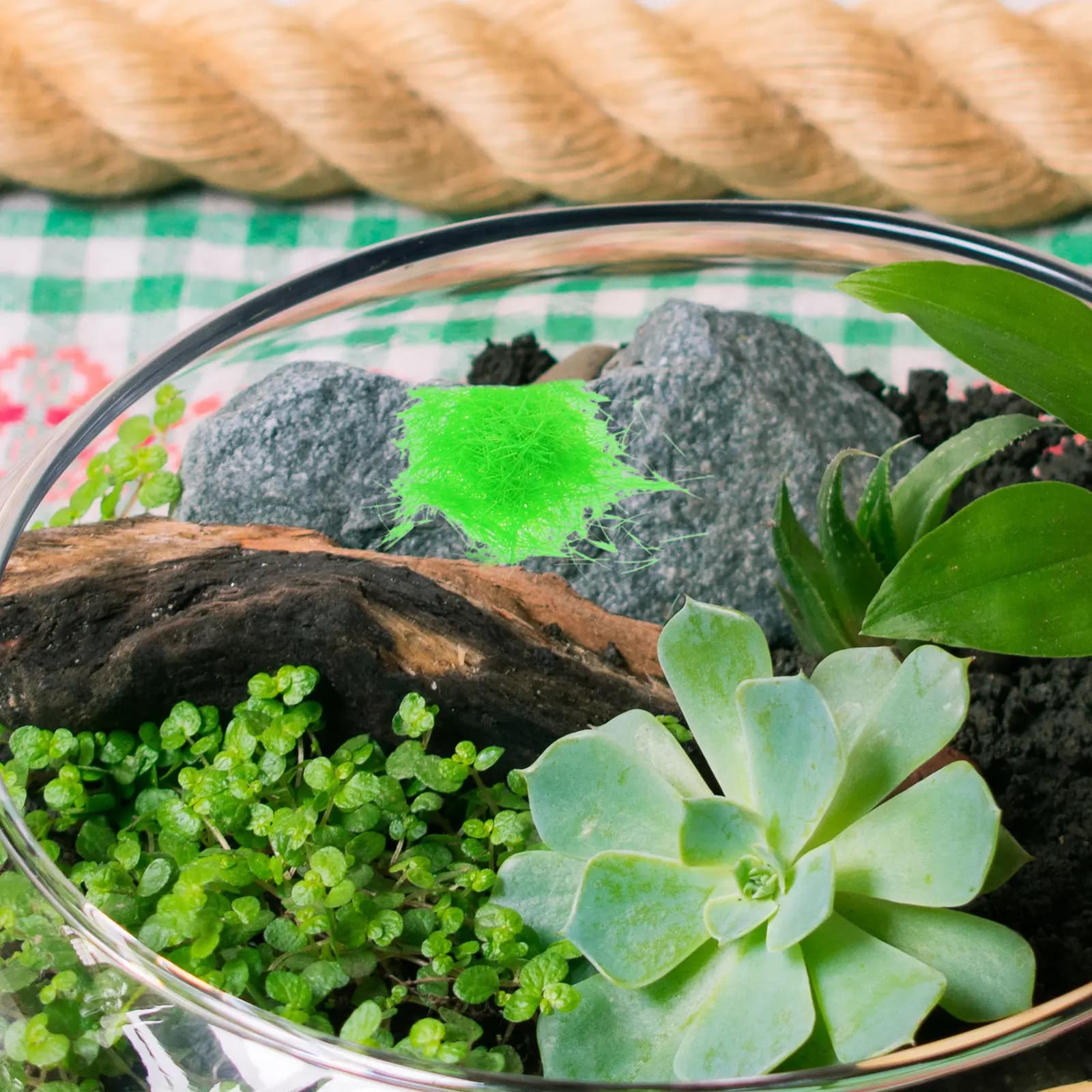 5 Sacchetti di Muschio Artificiale per Artigianato e Decorazioni Fai-da-Te, Muschio Finto per Terrari, Piante da Interno, Vasi, Sfondi Murali, Giardino e Casa