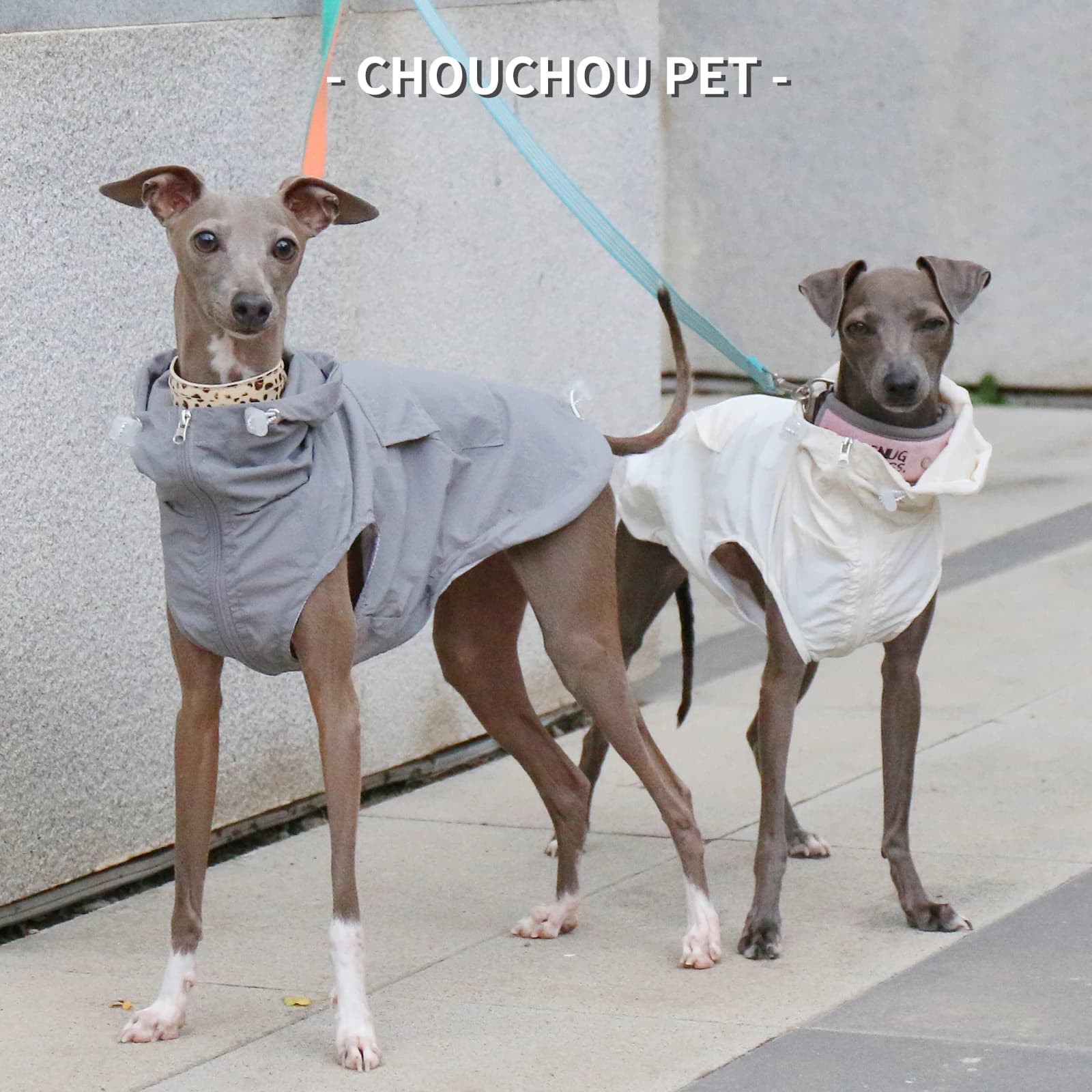 Autunno levriero Whippet Iggy gilet per animali domestici con cappuccio vestiti per cani con cerniera regolabile antipioggia e impermeabile