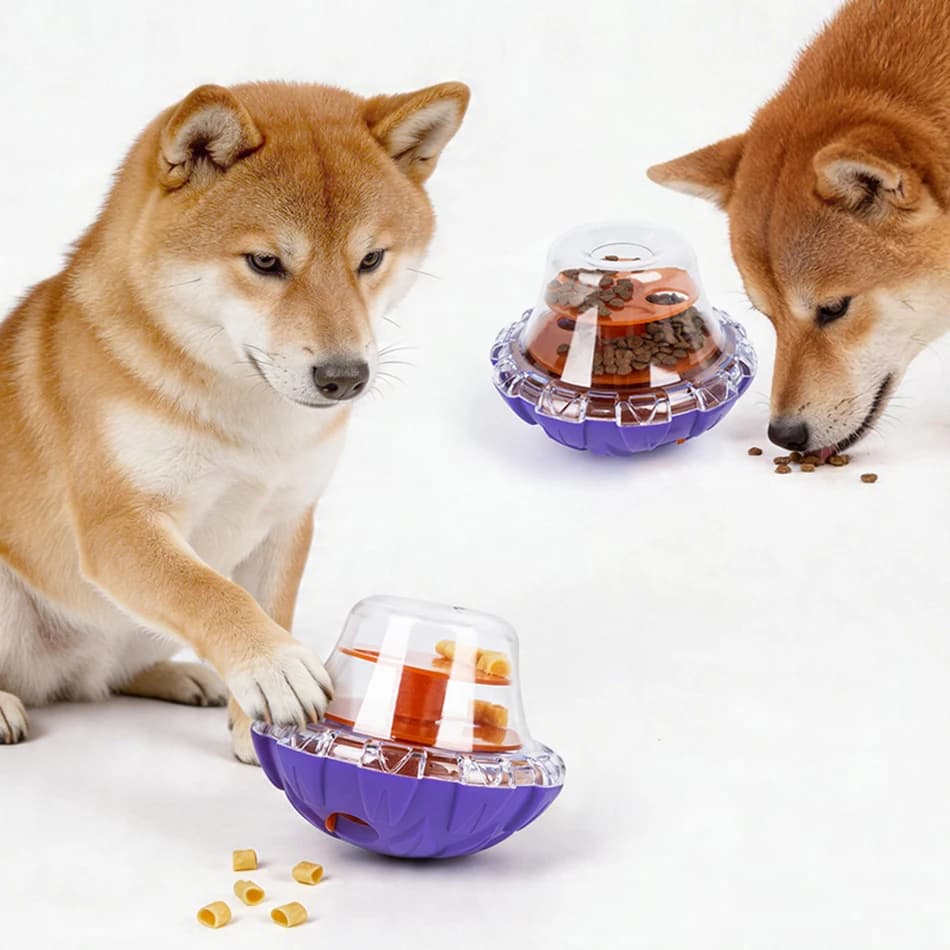 Giocattolo Interattivo Dispenser Cibo a Sfera per Cani e Gatti - Ciotola Divertente Anti-Vuoto per Alimenti - Giocattoli Interattivi per Animali Domestici - Accessori per Animali