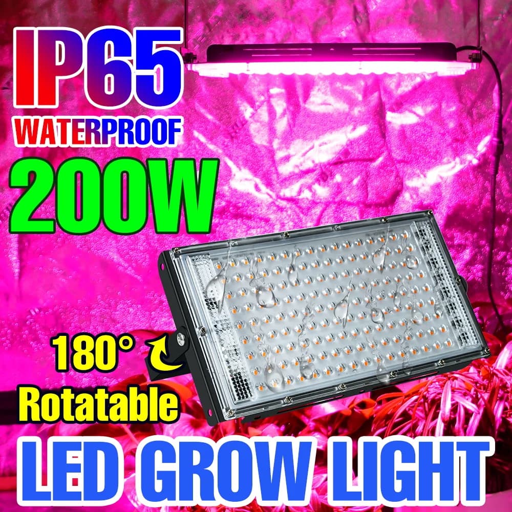 LED Plant Coltiva Light Full Spectro Seeds of Flowers Verdura Serra Interior Hydroponic Growing Lamp 25W 50W 100W 200W